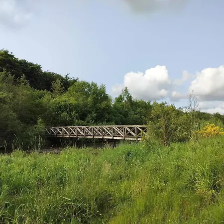 Hébergement de vacances 16 Person In Ansager-by Traum *